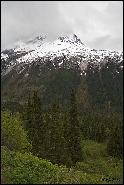 White Pass, AK