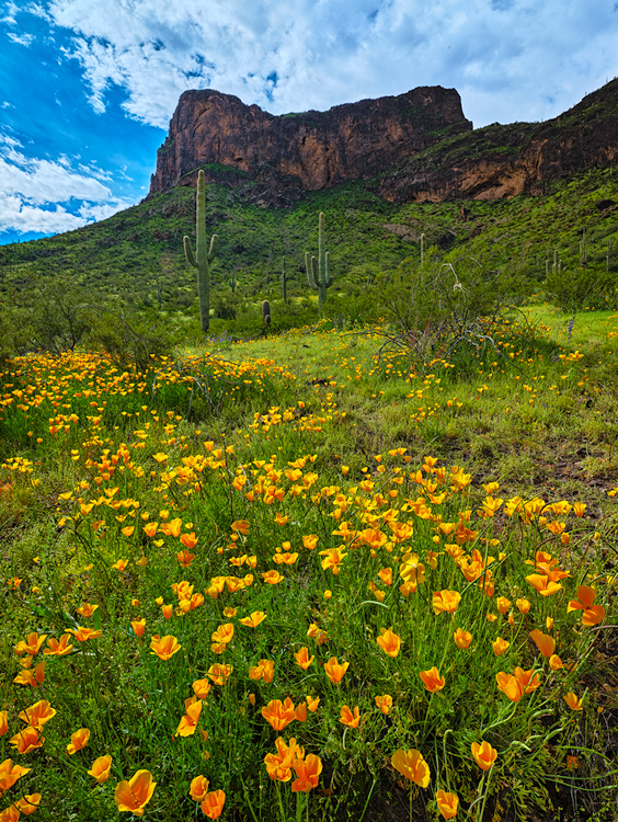 Picacho Peak, AZ