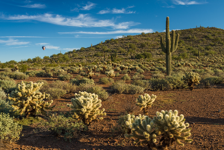 Sonoran Desert Preserve, AZ