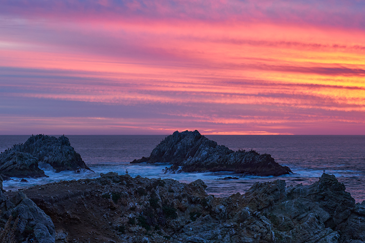 Point Lobos, CA