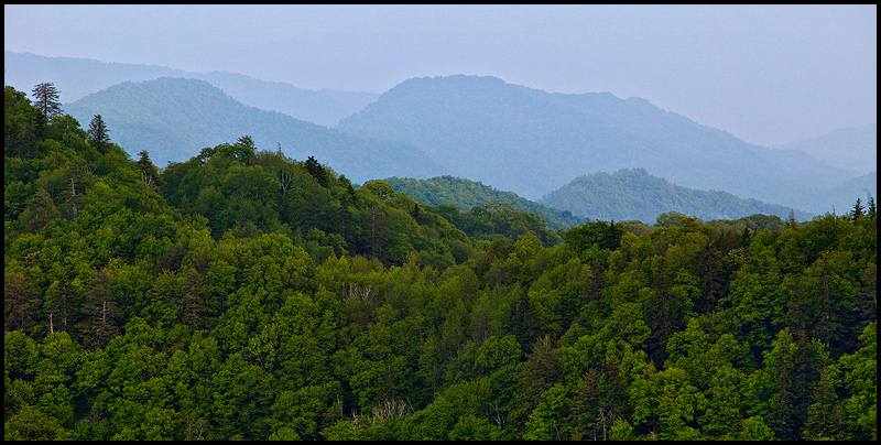 Newfound Gap, Great Smoky Mountains NP, NC