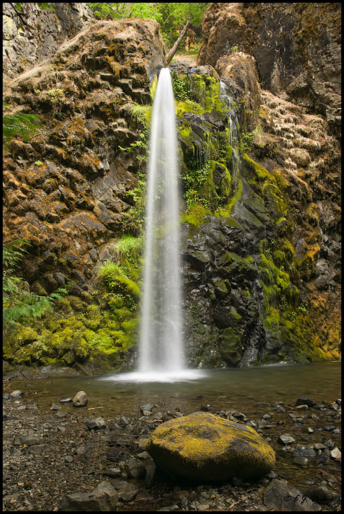 Falls Creek Falls, OR