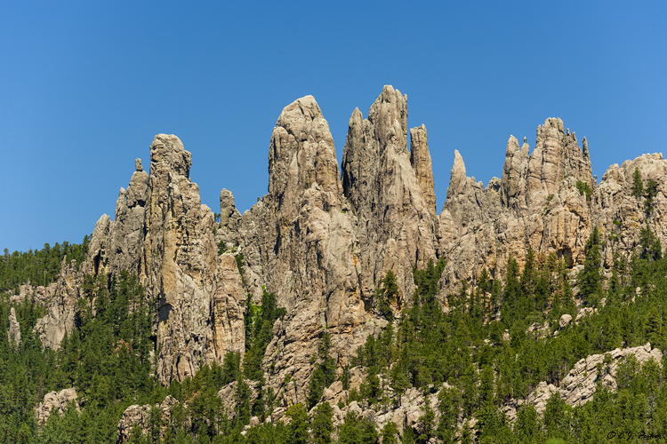 The Needles, Custer State Park, SD