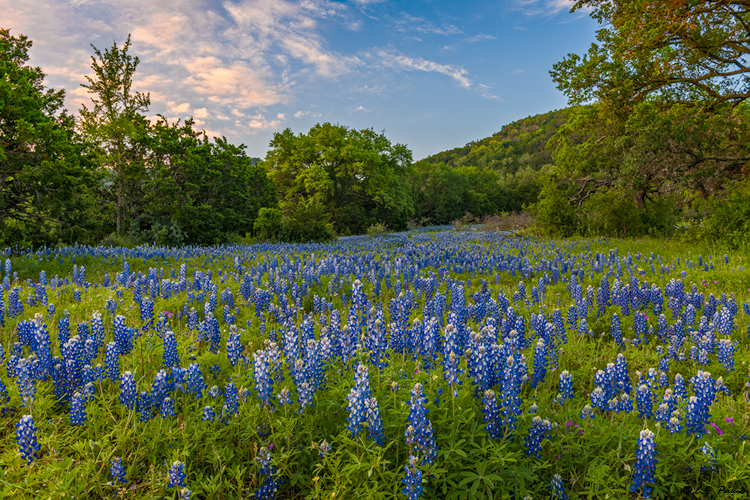 Texas Hill Country