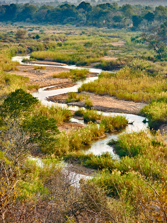 MalaMala Preserve, South Africa