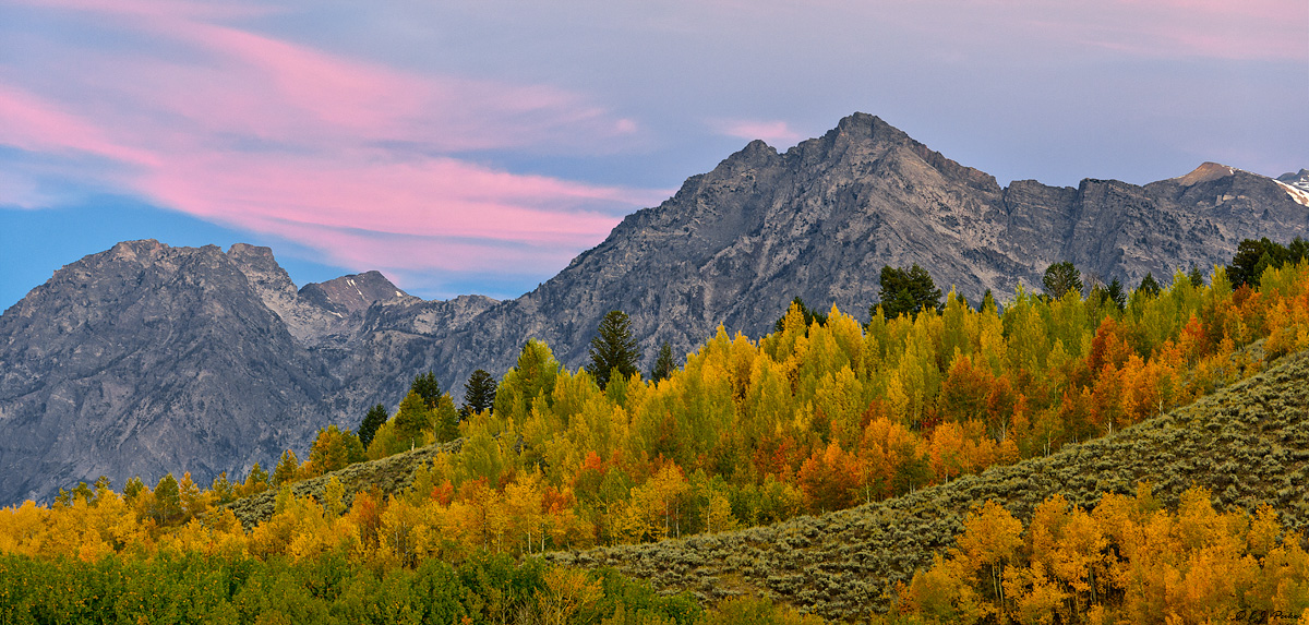Fall Color, Grand Teton NP, WY