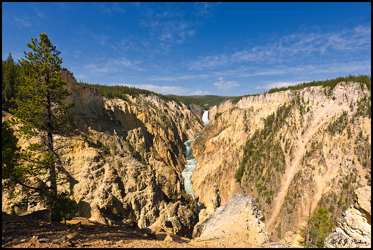 Lower Falls, Yellowstone NP, WY