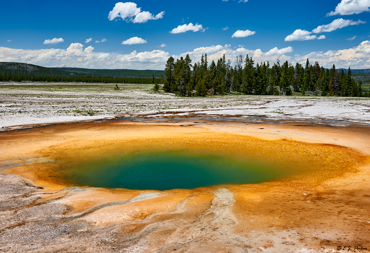 Opal Pool, Yellowstone NP, WY